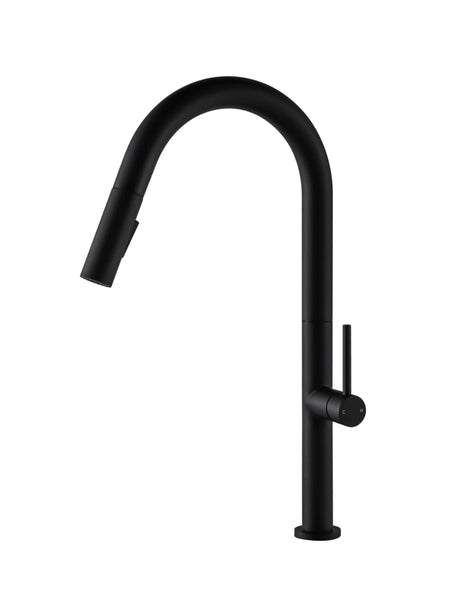 black kitchen faucet with pull out sprayer