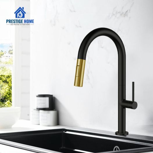 Matte Black and Brush Gold Luxury Kitchen Faucet with pull out Spout