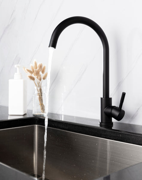 Matte Black Kitchen Faucet