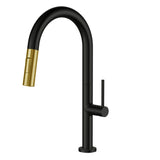 Matt black and Brush gold with pull out spout kitchen faucet