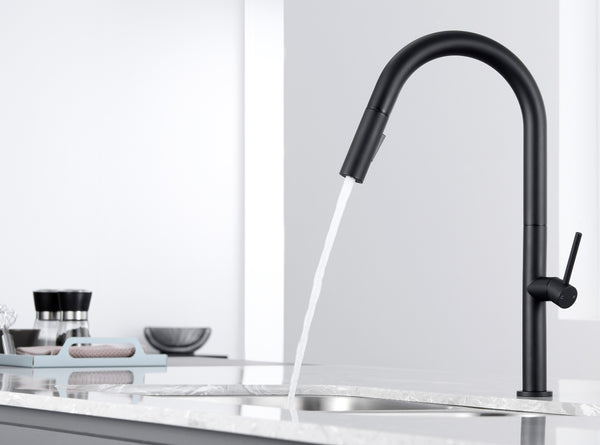 Stylish Black Kitchen Faucet with Pull Out Sprayer