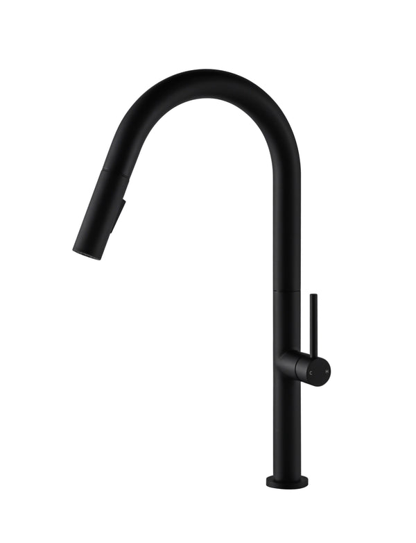 black kitchen faucet with pull out sprayer 